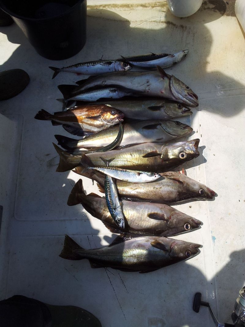 20130531_152444.jpg