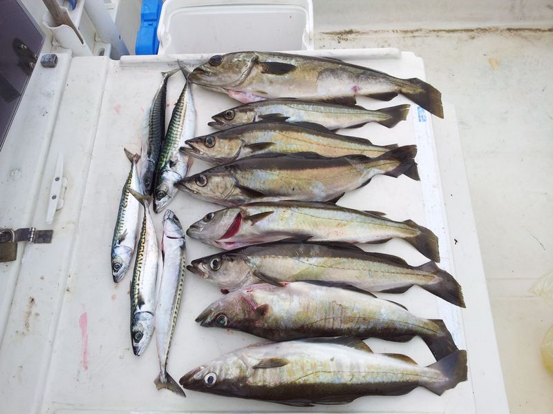 20140424_191335.jpg