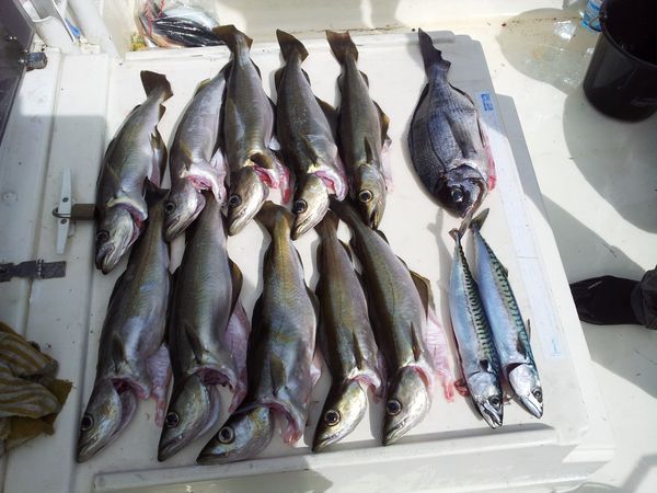 20140530_110514.jpg