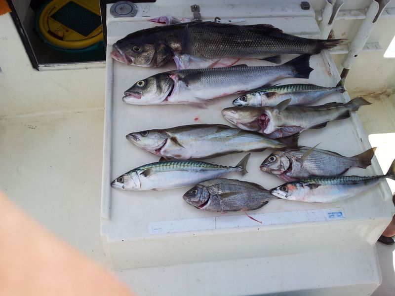 20140719_170930.jpg