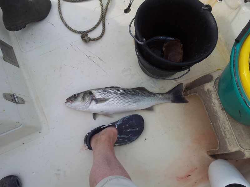 20140801_100938.jpg