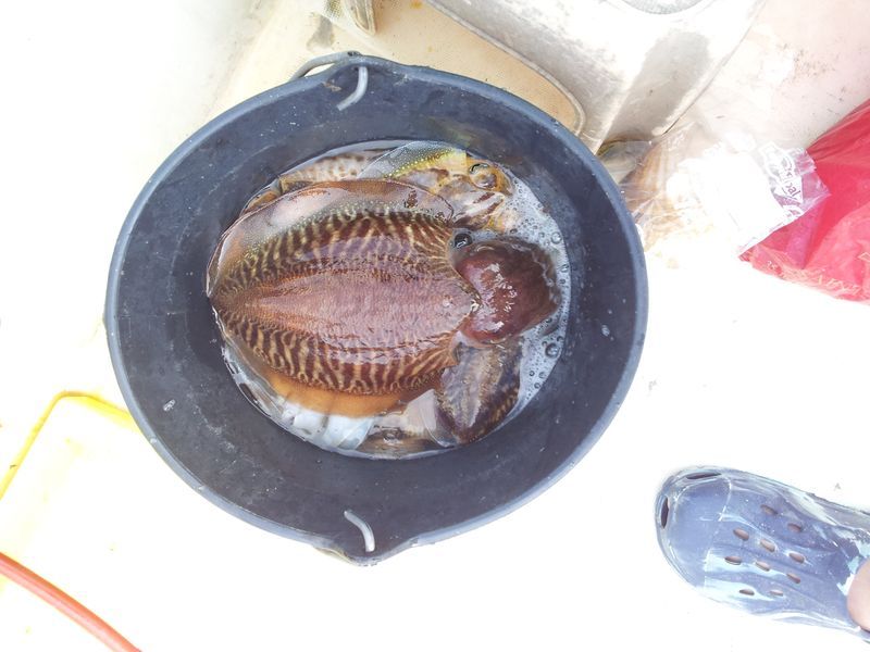 20140906_140537.jpg