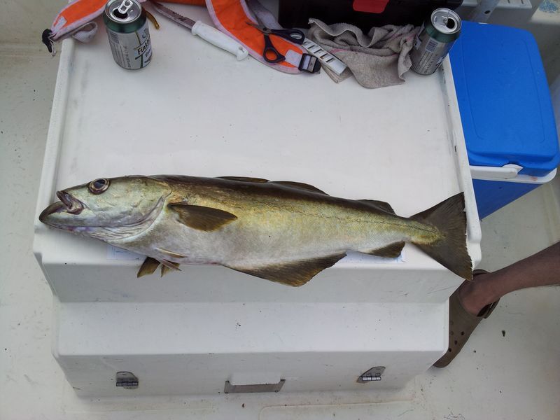 20140913_131519.jpg