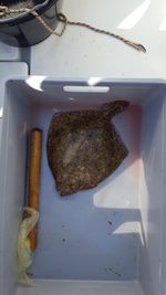 2016-07-16-18h18m19.jpg