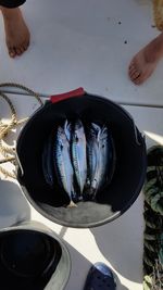 2016-07-16-18h18m24.jpg