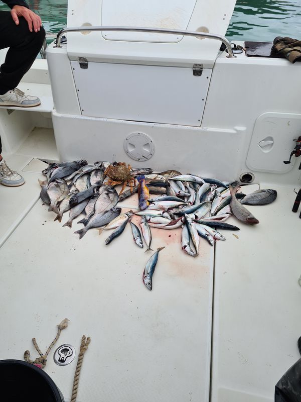 20250529_132622.jpg